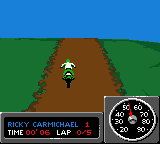 Championship Motocross 2001 featuring Ricky Carmichael (USA) In game screenshot
